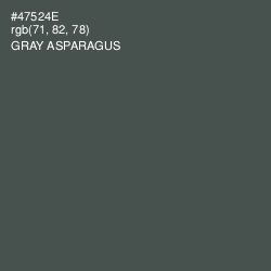 #47524E - Gray Asparagus Color Image